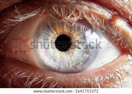Eye macro photography. Beautiful eyes for several uses.