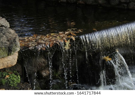 Fallen foliage in a creek waterfall