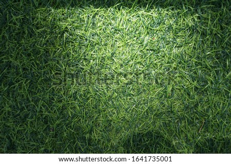 Synthetic green grass playground floor. 