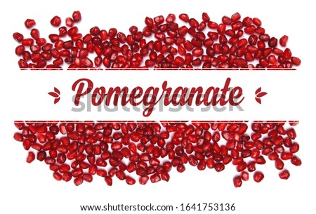 Pomegranate fruit design template menu or summer white background in layers