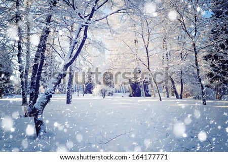 Beautiful winter landscape Royalty-Free Stock Photo #164177771