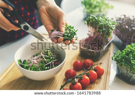 woman prepare fresh raw vegan salad from microgreens and vegetables Royalty-Free Stock Photo #1641783988