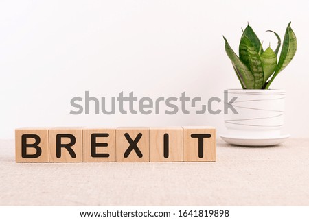 BREXIT word written on wood block on a light background