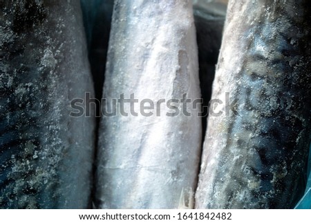 Frozen mackerel close-up. Ice coated fish packed in a plastic bag.