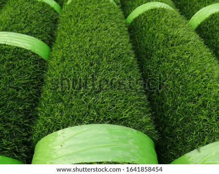 The density​ of green​ grass​ for​ background. Green​ grass​ in​ the store​ for background​