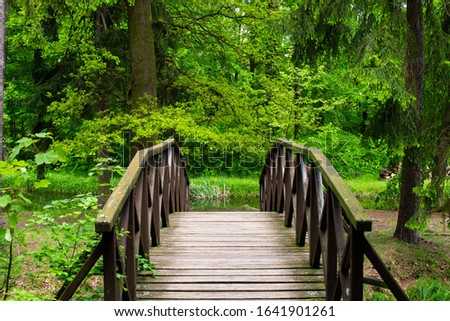 Bridge crossing a small lake in the forest of Zamecky Park, in Hluboka nad Vltavou (Czech Republic)