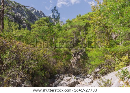 Beautiful scenic view of green mountains of Turkey.