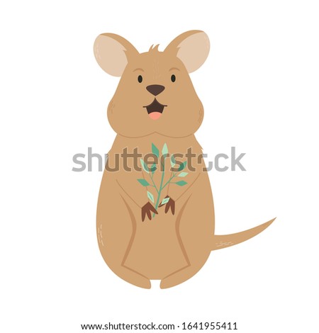 Cute smiling quokka. Animal character design. Australian fauna. Vector illustration