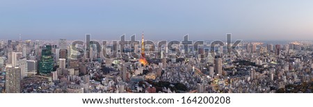Panoramic view of Tokyo at twilight