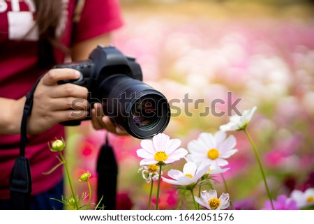 
A female photographer shoots flowers in a flower field with a dslr camera