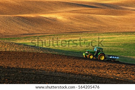 Tractor plows a field in the spring accompanied by rooks Tractor Royalty-Free Stock Photo #164205476