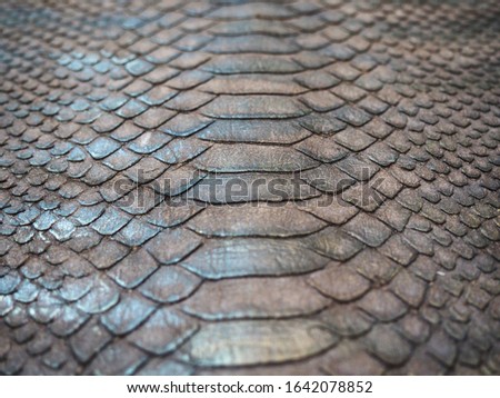 texture of natural reptile skin crocodile and snake close up
