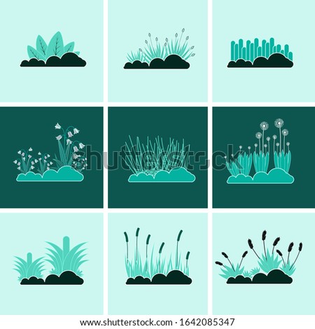 Set of grass in a forest. vector contain : the stem, flowers and leaf from grass