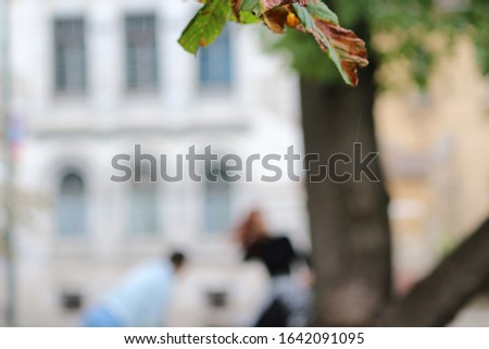 Autumn picture with blurred background.