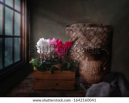 Spring in rural old house