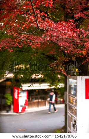Picturesque scene of autumn in Japan
