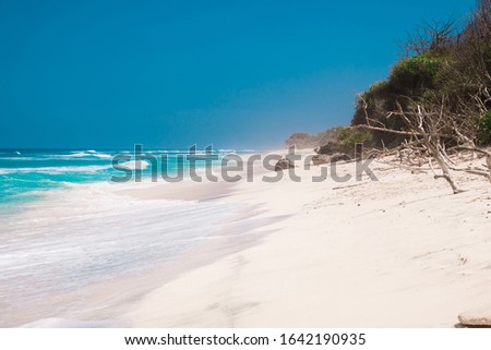 Tropical sandy beach with blue ocean and waves
