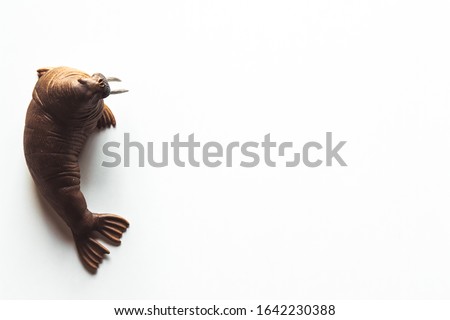 Toy walrus isolated on white background.