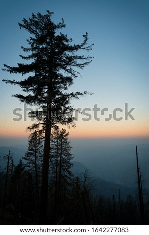 A Overlook at Sunrise at Yosemite National Park during the 2019 forest fires