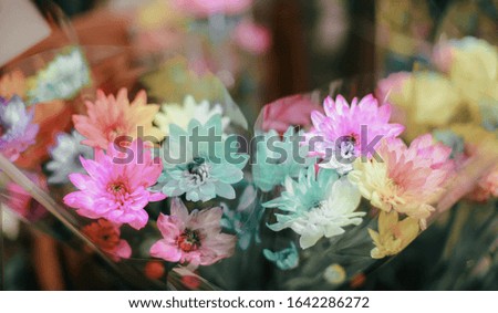 Various colorful flowers Flowers in the cold weather in winter , beautiful natural background Is a medium of love.