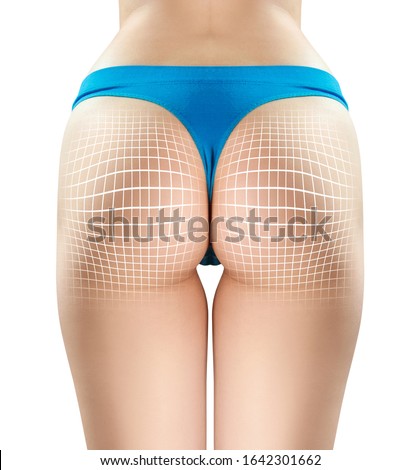 Female buttocks with white grid demonstrate lifting effect. Isolated on white background.