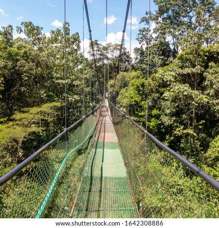 In the Tirimbina Reserve near Puerto Viejo you can reach the tropical rainforest with its exotic flora and fauna via one of the longest suspension bridges in Costa Rica Royalty-Free Stock Photo #1642308886