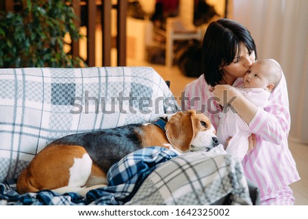 A mother in pajamas holds a baby in her arms and kisses him next to a lying on sofa dog.