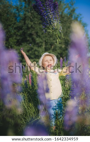 Portrait of a little girl in a hat in a field of flowers. Field of Lupins. Summer. The girl raises her arms high and rejoices.