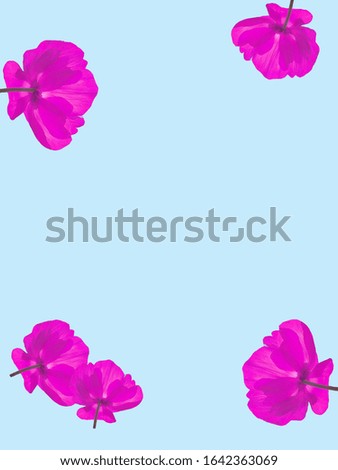 natural background with vibrant colors flowers isolated in color background 