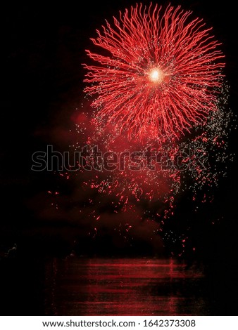 Firework over the lake of Constance, Seenachtsfest