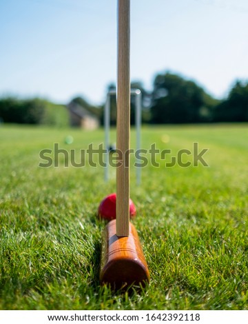 Taking aim during croquet match Royalty-Free Stock Photo #1642392118