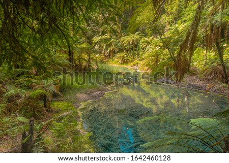 Colorful sulfurous lake in Whakarewarewa Forest, New Zealand. Mystical, Magical hideout. Royalty free stock photo.