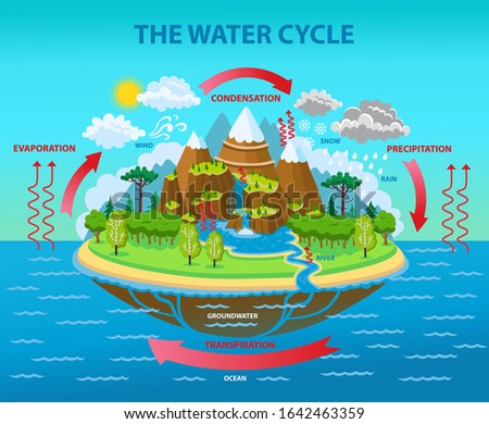 The water cycle. Vector cartoon illustration.