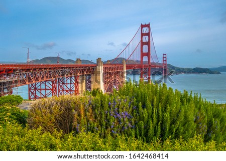 Golden Gate Bridge in summer with plants in front, San Francisco, California, USA. Royalty free stock photo.