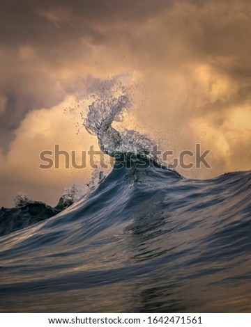 Splashing waves at sunset, Bronte Beach, Australia
