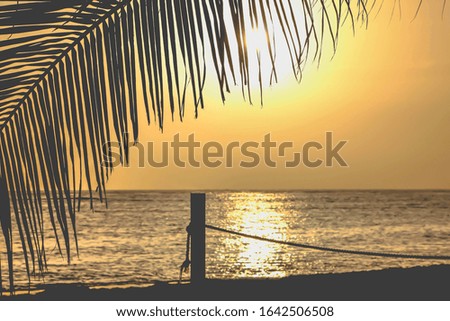 Amazing morning view on Caribbean beach. Sunrise, sea and palms leaf.