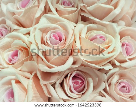 Fake flowers  for Interior.Artificial roses made by fabric and plastic use decorated.14 February is Valentine day. love wallpaper.Pink roses vintage style background