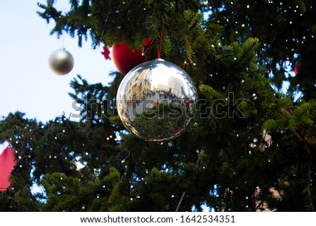 christmas decoration on a pine tree.