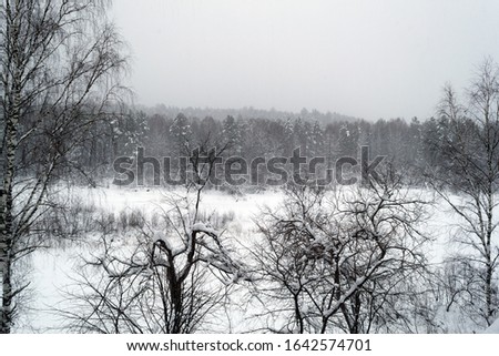 Blurred defocused photo of winter landscape. Forest, valley and falling snow 