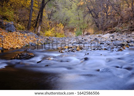 Mokelumne River Chilly Fall Day