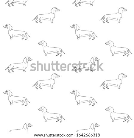 Vector seamless pattern of hand drawn doodle sketch dachshund dog isolated on white background