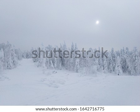 Cloudy winter sky over a mountain with trees in the snow