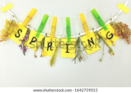 Spring season greetings hanging on door. Bright yellow paper cutouts and flowers clipped on a lace.
