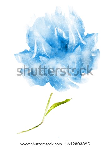 Watercolor flower , isolated on white background