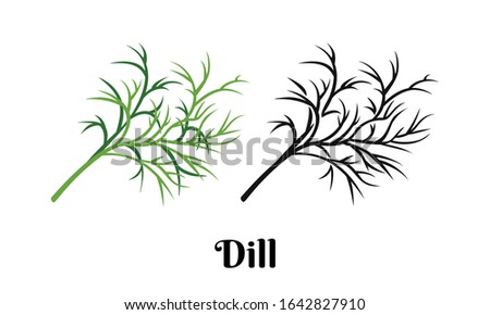 Dill greenery isolated on white background. Vector color illustration of  fragrant green herbs in cartoon flat style and black and white outline. Vegetable Icon. Royalty-Free Stock Photo #1642827910