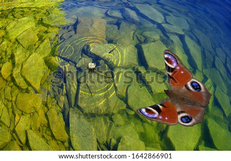 Butterfly and on a green lake background.
