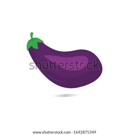 illustration design of eggplant with green and purple color