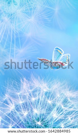 Beautiful dandelion seeds closeup blowing and butterfly on light blue vertical background. Soft pastel toned. Copy space. Macro with soft focus. Atistic image of spring. Nature greeting card template.