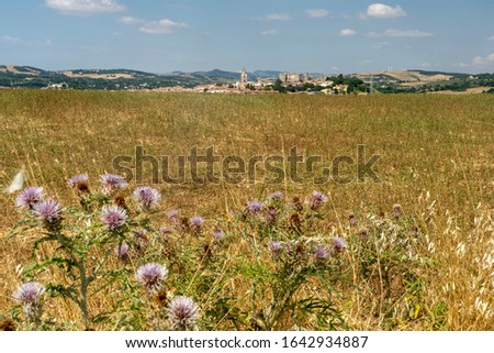 Rural landscape in Basilicata. Panoramic view of Melfi, Potenza, Italy.