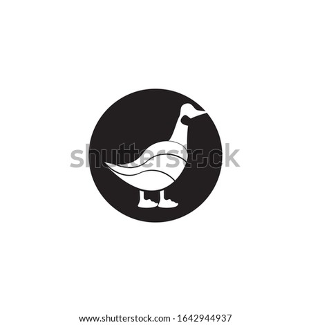 Goose icon and symbol vector illustration